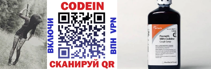 darknet наркотические препараты  купить наркотики цена  Гвардейск  Codein Purple Drank  KRAKEN зеркало 