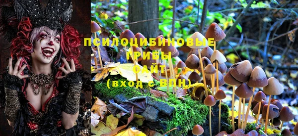 метадон Алексин